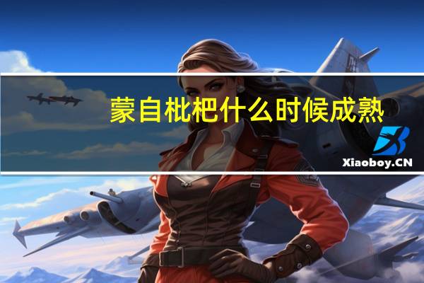 蒙自枇杷什么时候成熟