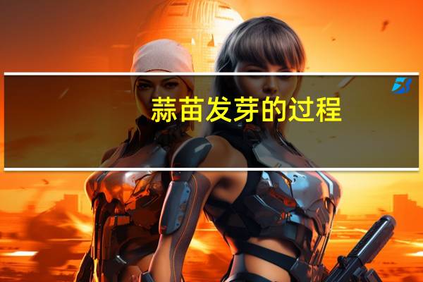 蒜苗发芽的过程