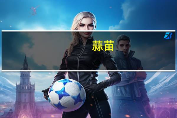 蒜苗（关于蒜苗的介绍）