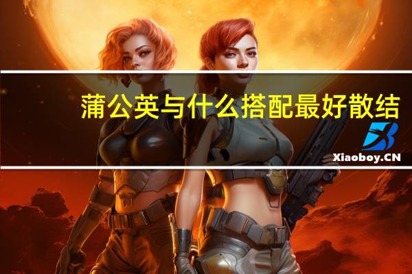 蒲公英与什么搭配最好散结（蒲公英与什么搭配最好）