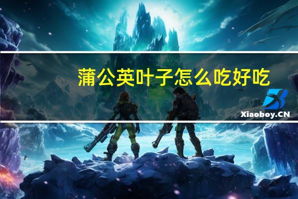 蒲公英叶子怎么吃好吃