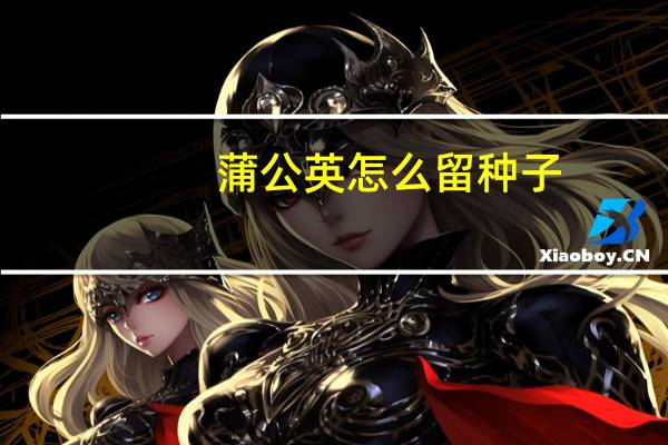 蒲公英怎么留种子