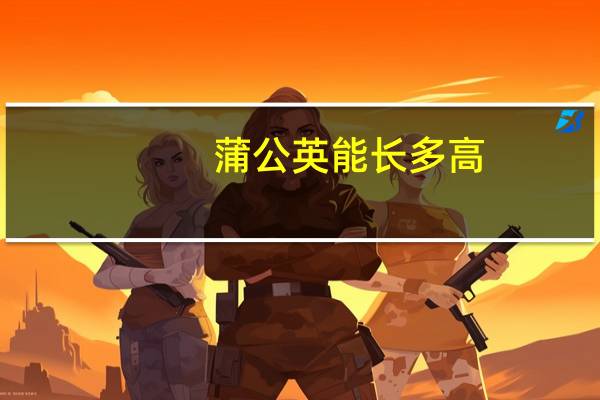 蒲公英能长多高
