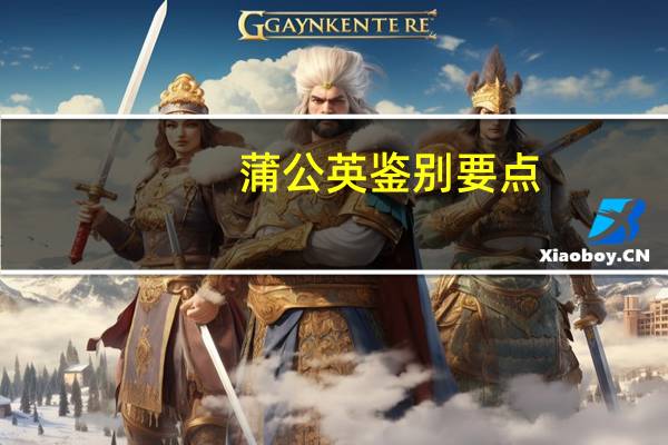 蒲公英鉴别要点