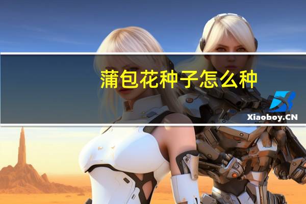 蒲包花种子怎么种