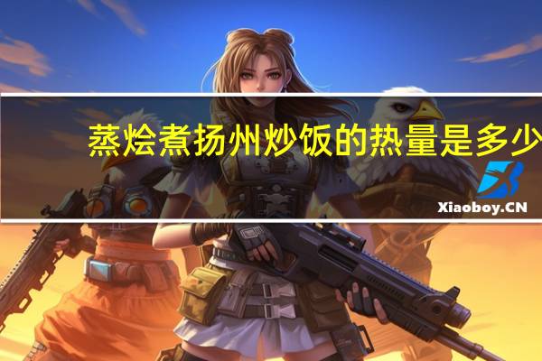 蒸烩煮 扬州炒饭的热量是多少