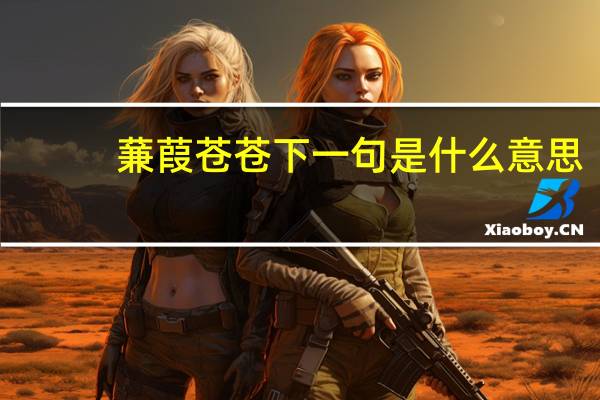 蒹葭苍苍下一句是什么意思（蒹葭苍苍下一句）