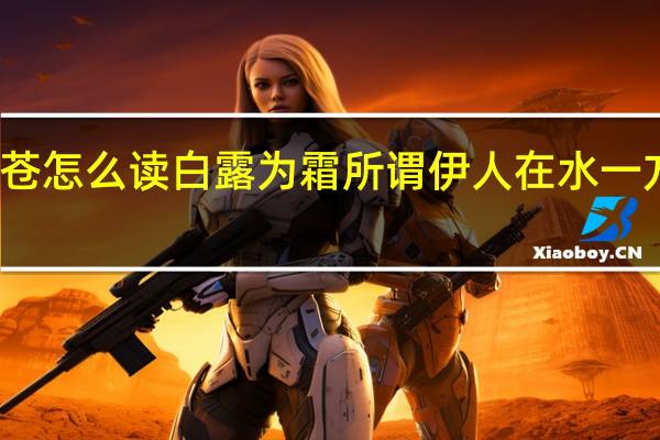 蒹葭苍苍怎么读白露为霜所谓伊人在水一方配什么图片