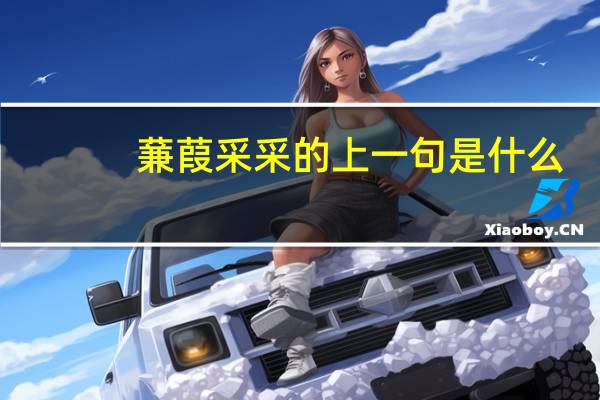 蒹葭采采的上一句是什么
