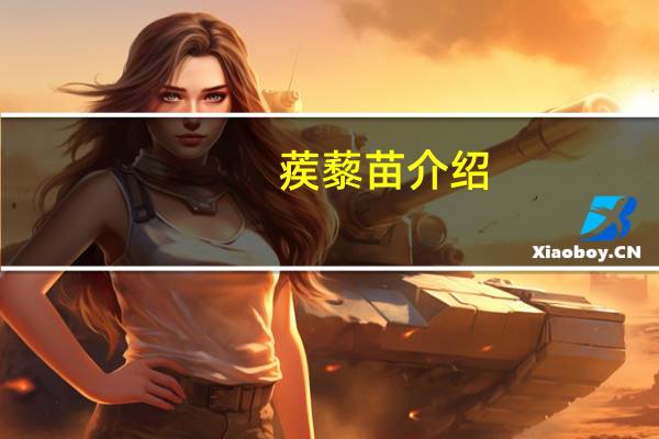 蒺藜苗介绍