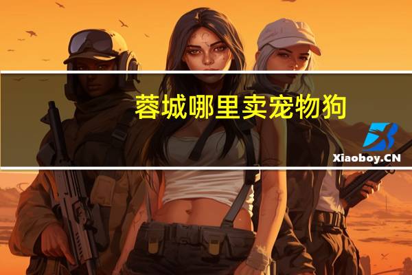 蓉城哪里卖宠物狗