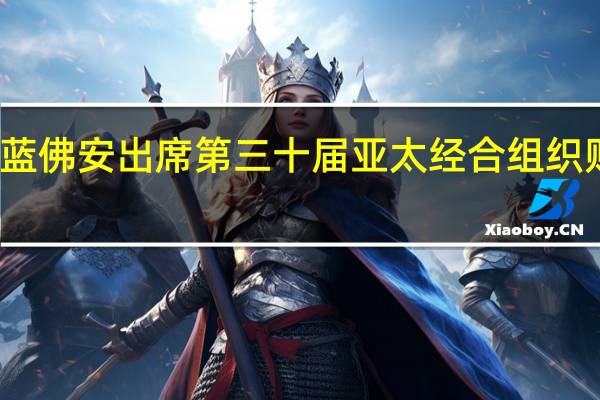 蓝佛安出席第三十届亚太经合组织财长会