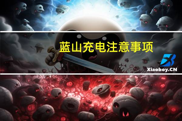 蓝山充电注意事项
