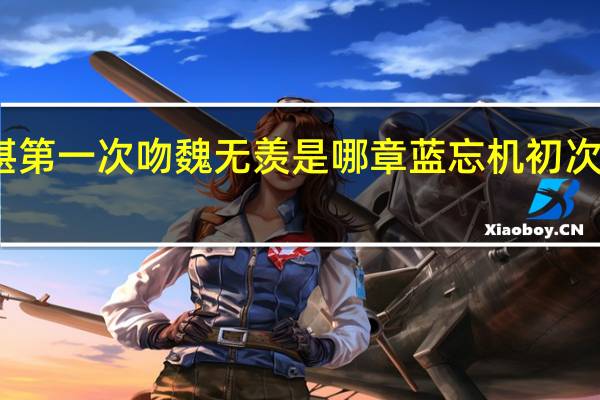 蓝湛第一次吻魏无羡是哪章 蓝忘机初次干魏无羡