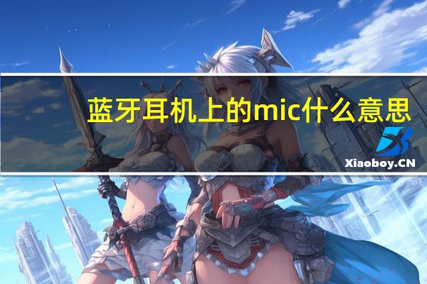 蓝牙耳机上的mic什么意思