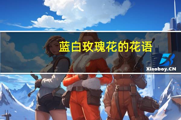 蓝白玫瑰花的花语