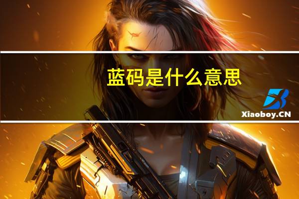 蓝码是什么意思
