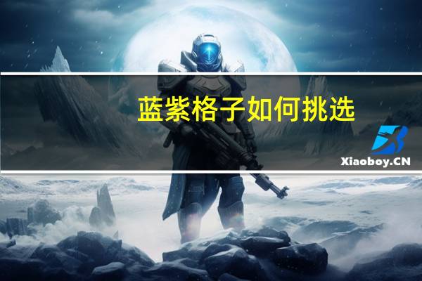 蓝紫格子如何挑选