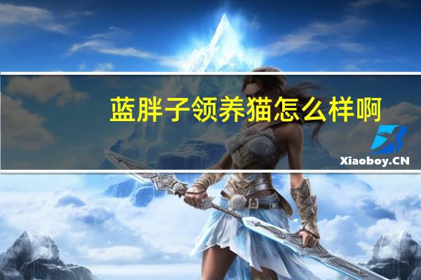 蓝胖子领养猫怎么样啊