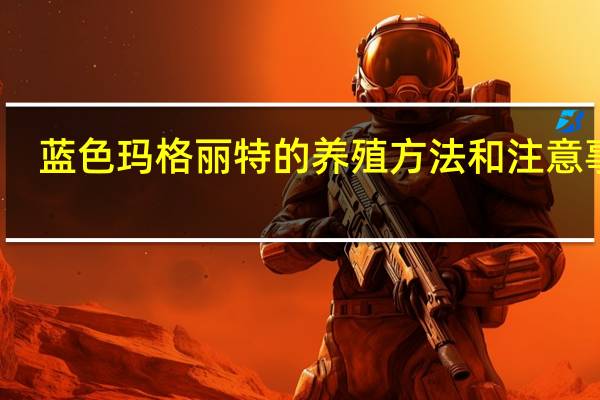 蓝色玛格丽特的养殖方法和注意事项