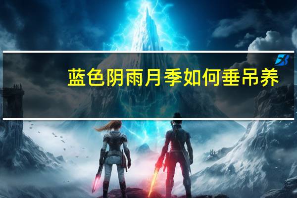 蓝色阴雨月季如何垂吊养