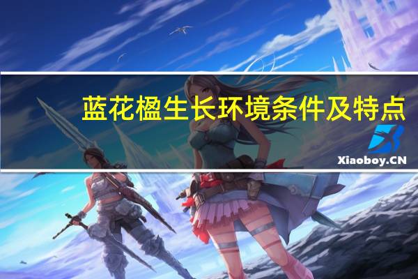 蓝花楹生长环境条件及特点