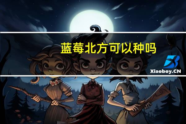 蓝莓北方可以种吗