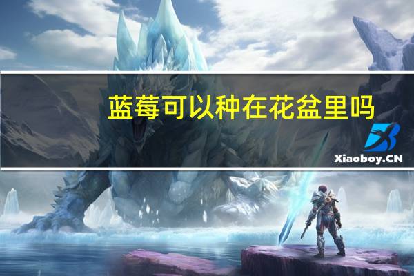 蓝莓可以种在花盆里吗
