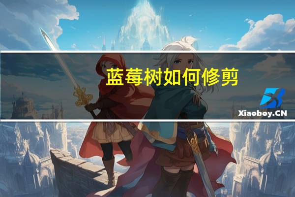 蓝莓树如何修剪