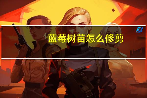 蓝莓树苗怎么修剪