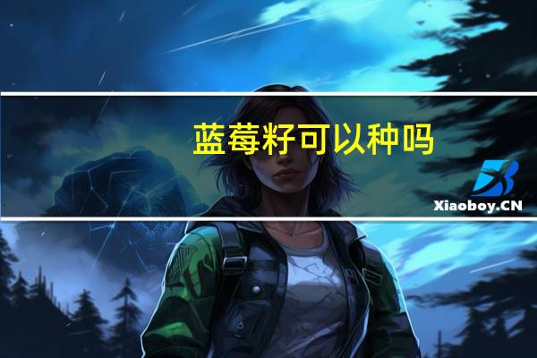蓝莓籽可以种吗