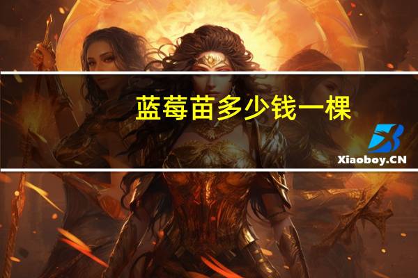 蓝莓苗多少钱一棵（蓝莓多少钱一斤）