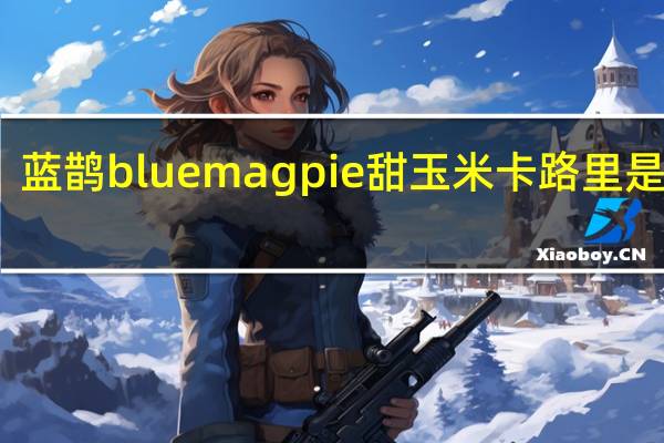 蓝鹊 bluemagpie 甜玉米卡路里是多少