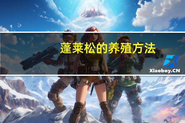 蓬莱松的养殖方法：蓬莱松的养殖方法有哪些