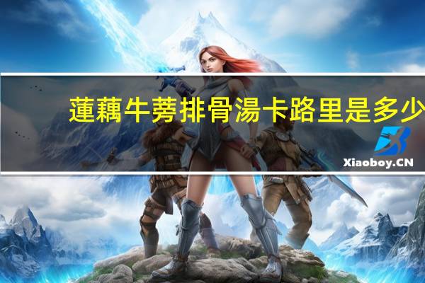 蓮藕牛蒡排骨湯卡路里是多少