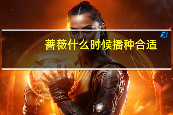 蔷薇什么时候播种合适