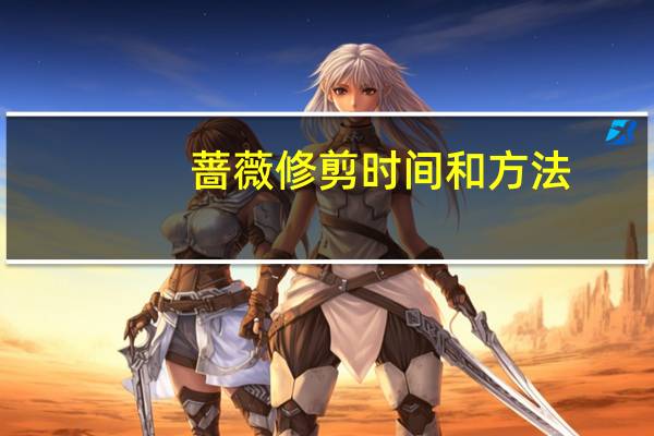 蔷薇修剪时间和方法