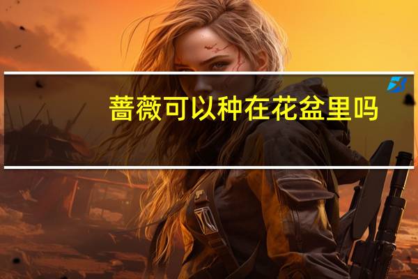 蔷薇可以种在花盆里吗