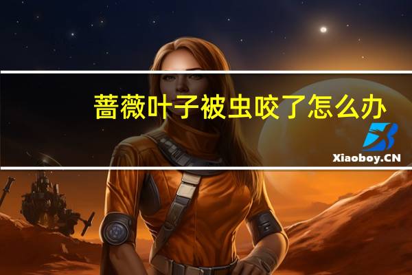 蔷薇叶子被虫咬了怎么办（被虫咬了怎么办）