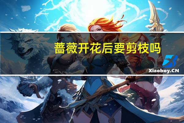 蔷薇开花后要剪枝吗