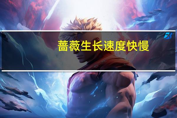 蔷薇生长速度快慢