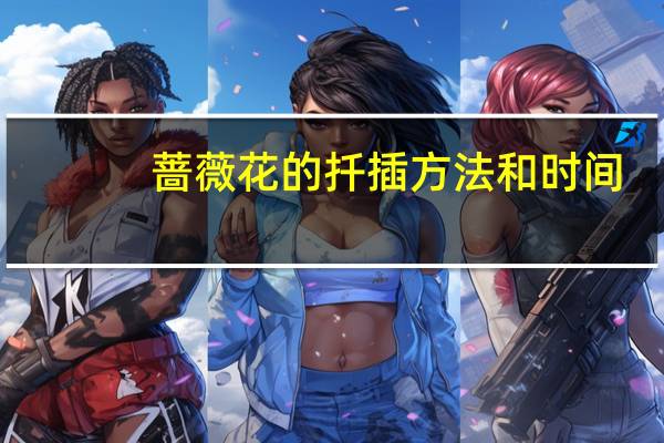 蔷薇花的扦插方法和时间