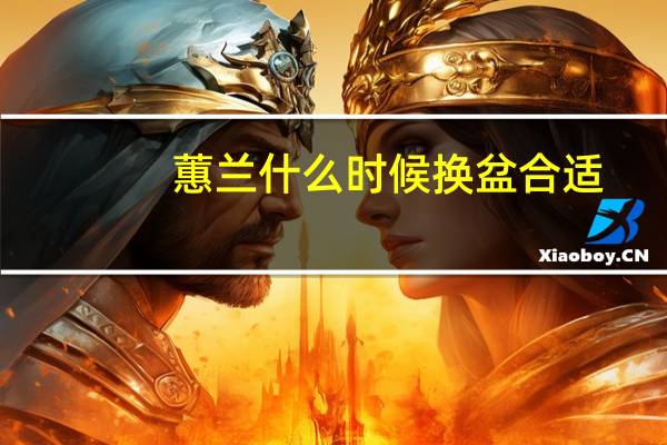 蕙兰什么时候换盆合适