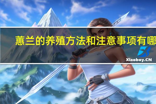 蕙兰的养殖方法和注意事项有哪些