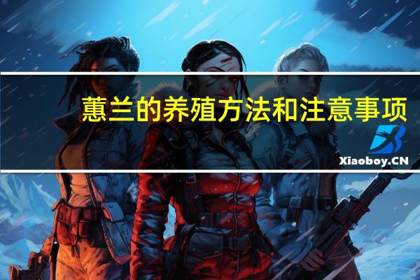 蕙兰的养殖方法和注意事项：生于湿润,但可接受光照,可耐寒