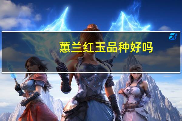 蕙兰红玉品种好吗