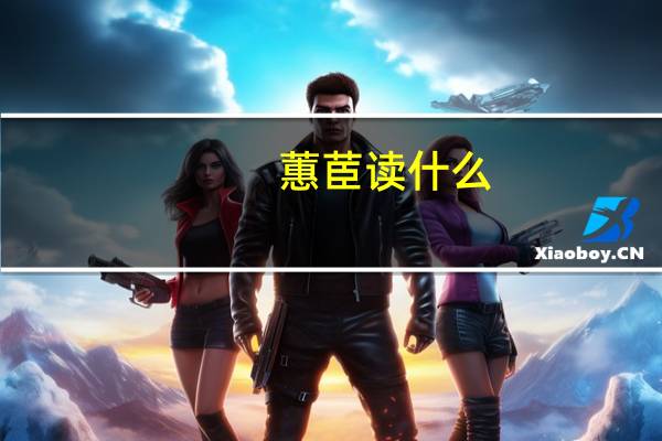 蕙茞读什么