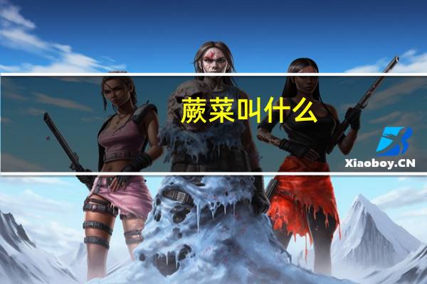蕨菜叫什么