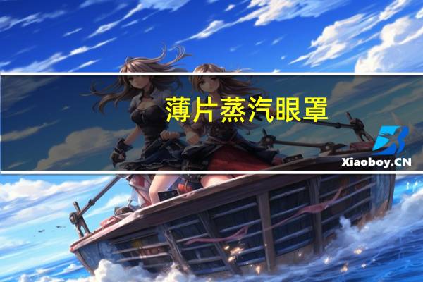 薄片蒸汽眼罩（薄片蒸汽眼罩）