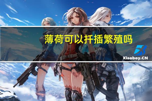 薄荷可以扦插繁殖吗